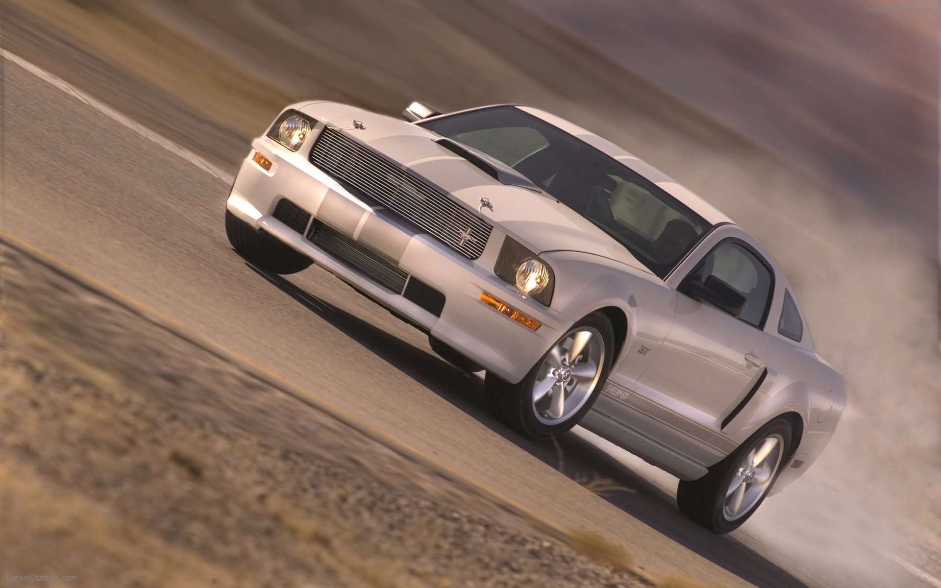 Ford Shelby GT